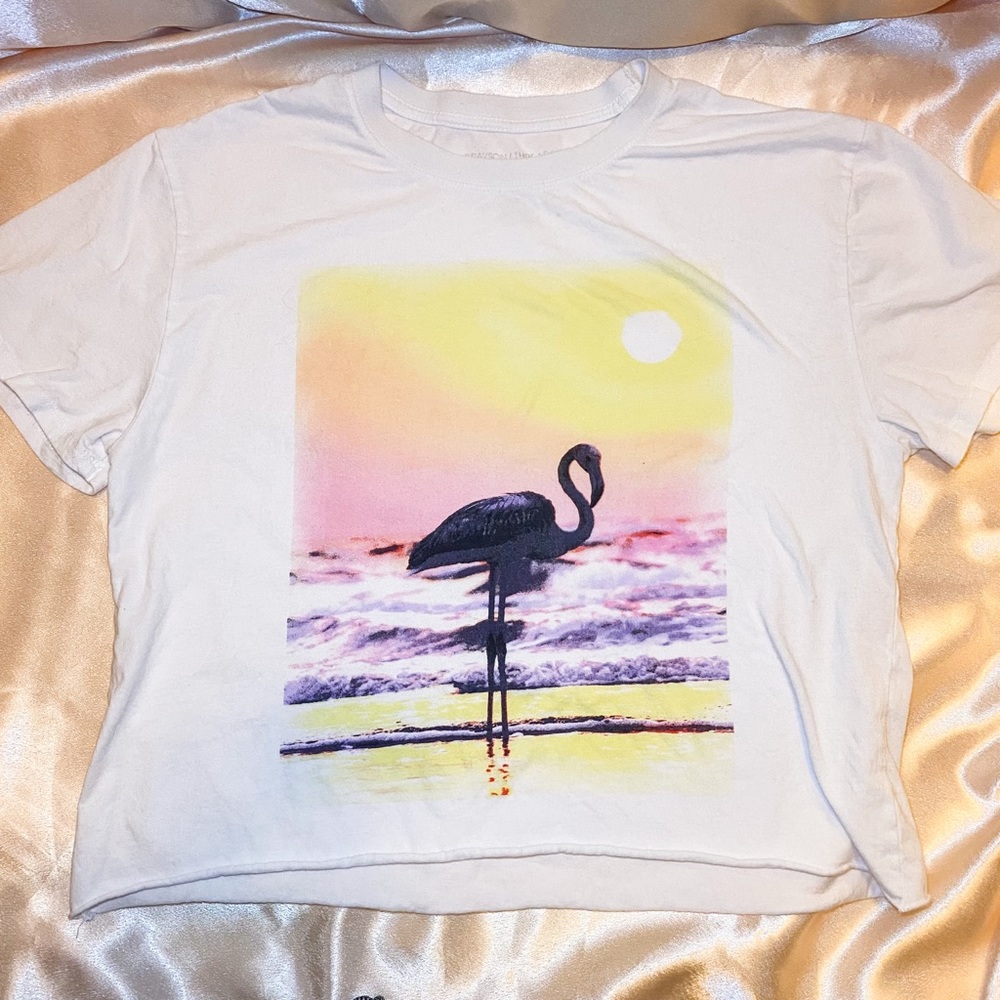 Flamingo Beach